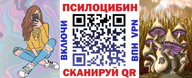 цена Чекалин кракен онион Галлюциногенные грибы прущие грибы